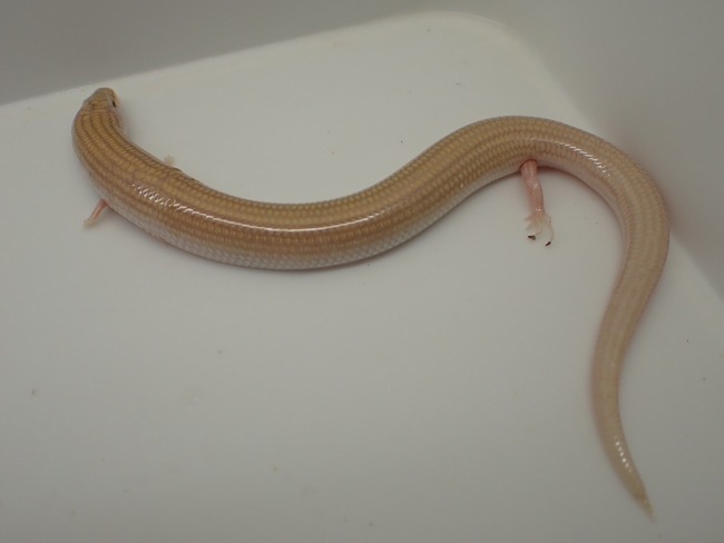 LINE_ALBUM_20240418_240422_2