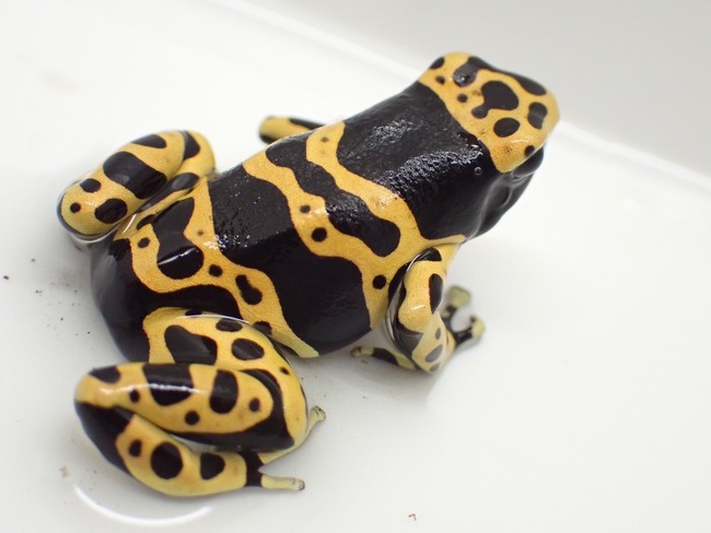 CE6CFC78-63DD-4E3A-B40F-35DBA360180D