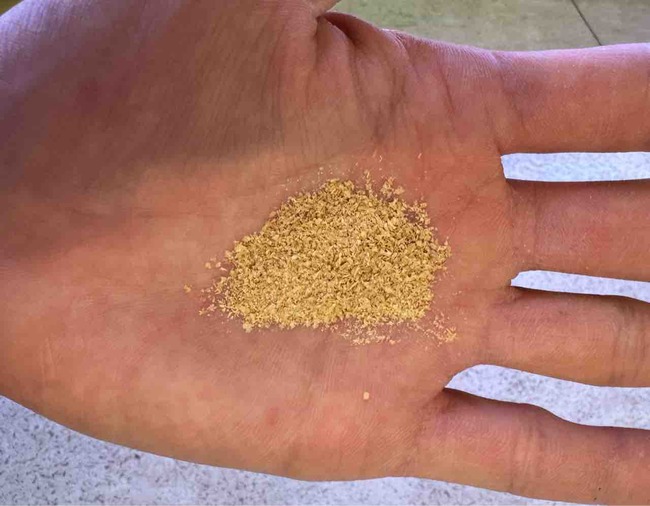 FullSizeRender