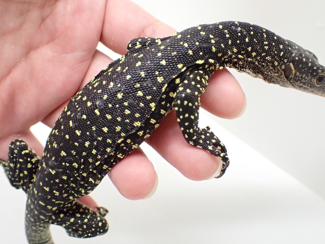 LINE_ALBUM_20241113_241114_25