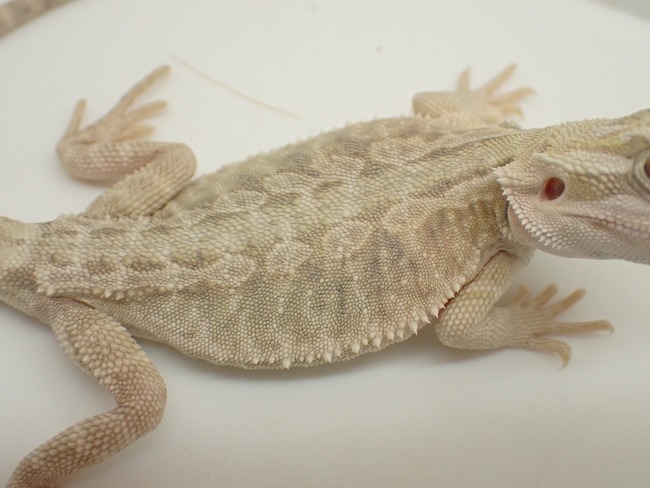 LINE_ALBUM_20240722 _1_240723_10