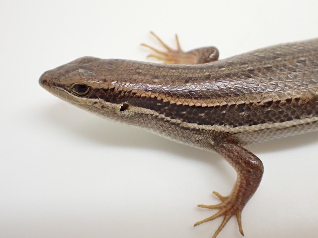 LINE_ALBUM_20240222 _1_240222_26