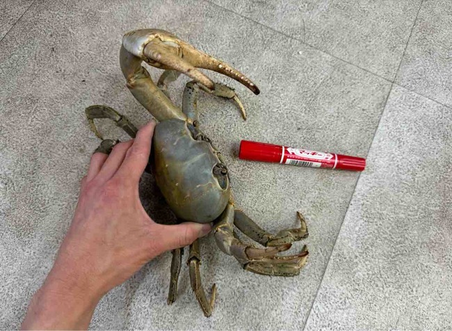 FullSizeRender