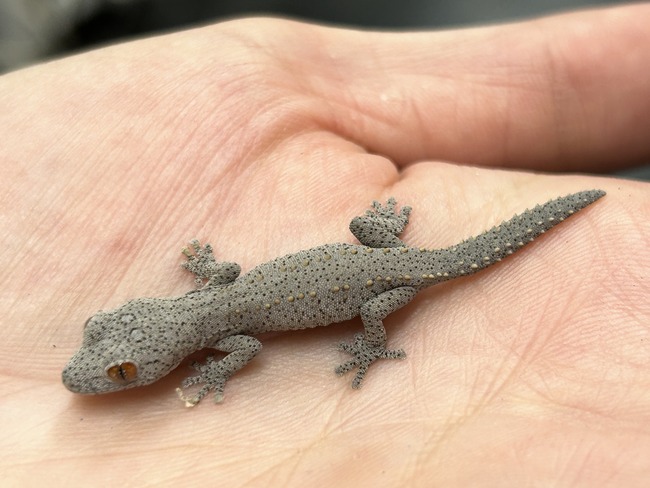 EF624DBD-082F-4301-ADCA-576F09A4A918