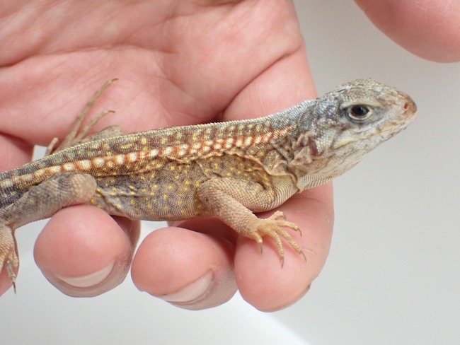 LINE_ALBUM_20240222 _1_240222_17