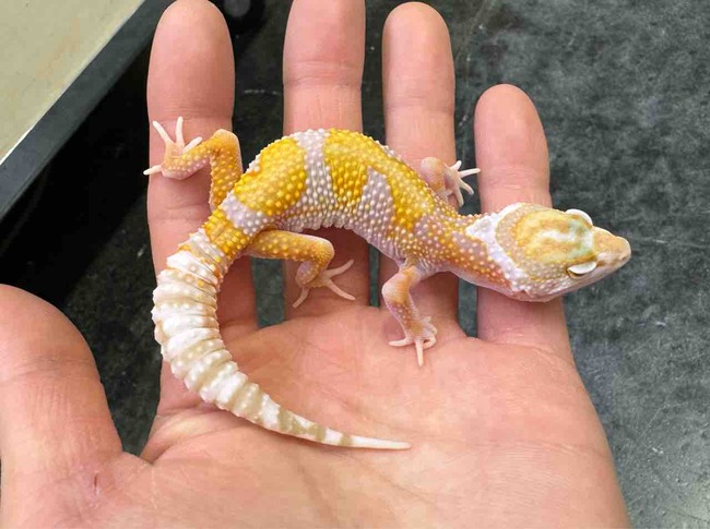 FullSizeRender