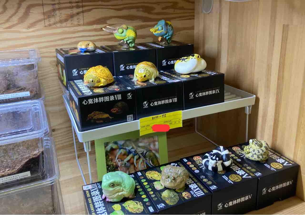動物の惑星はじめました！ : 爬虫類倶楽部大宮店公式ブログ