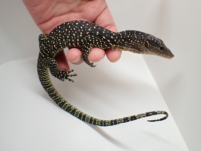 LINE_ALBUM_20241113_241114_20