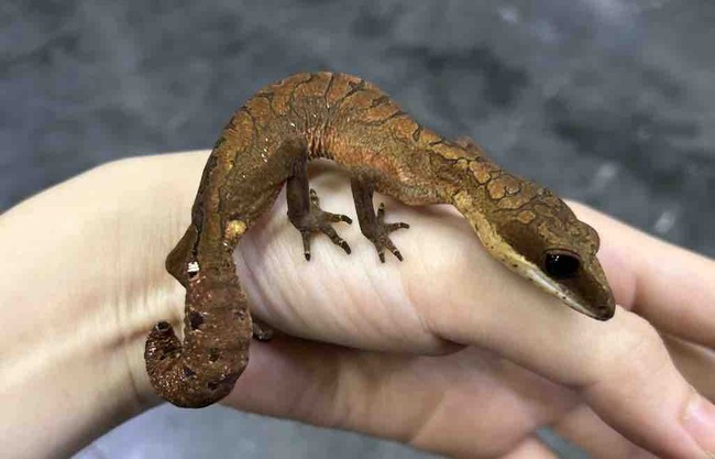 421EA968-65DC-4A49-AC15-7632B2B1649A