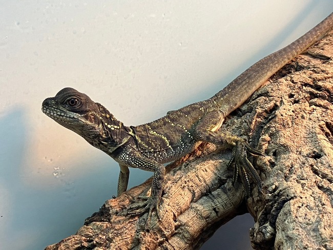 LINE_ALBUM_20240423_240423_29