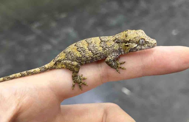 1C493D08-F6C0-4E7C-A591-A11CFBD62B10