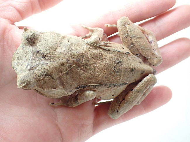 794FD8B1-F0CD-4E92-A594-67DF25B9528C