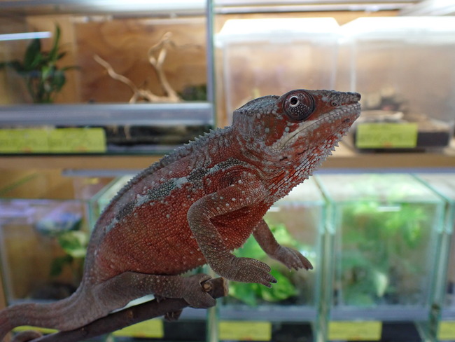 P6174124