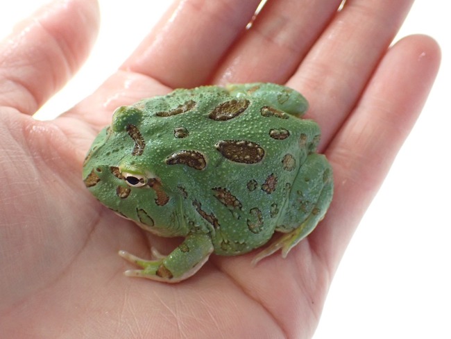 A22AE1D3-5157-4713-8CC7-72E3CC686E8B