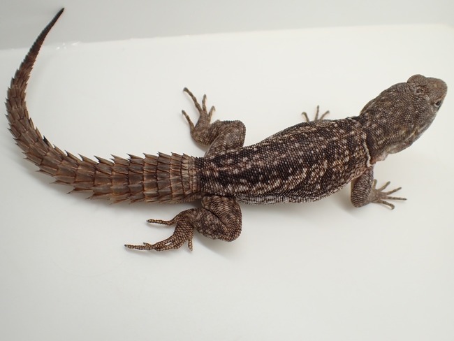 LINE_ALBUM_20240222 _1_240222_37