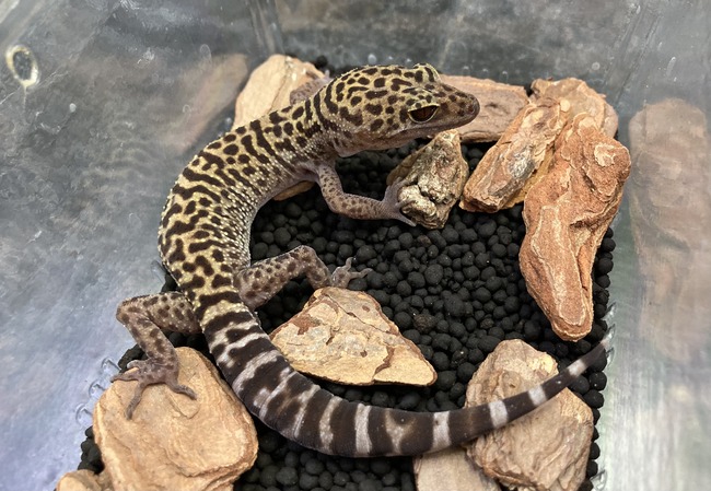 0ECC50B3-7792-48CE-B12B-A5ADE706A8E4