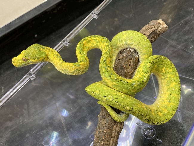 98BBC9AB-8732-4C95-8010-AFA402F28E5F