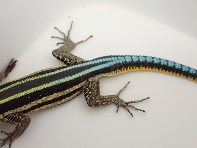 LINE_ALBUM_20240524 _1_240524_4