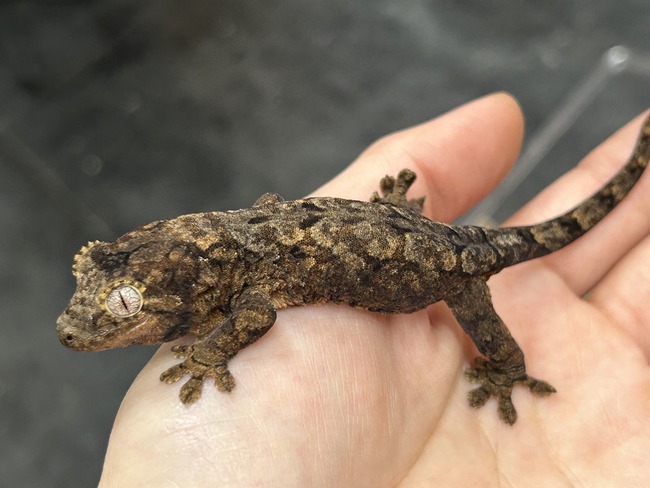 CFFA2052-4A6A-4EE9-B695-330D614A1D2B