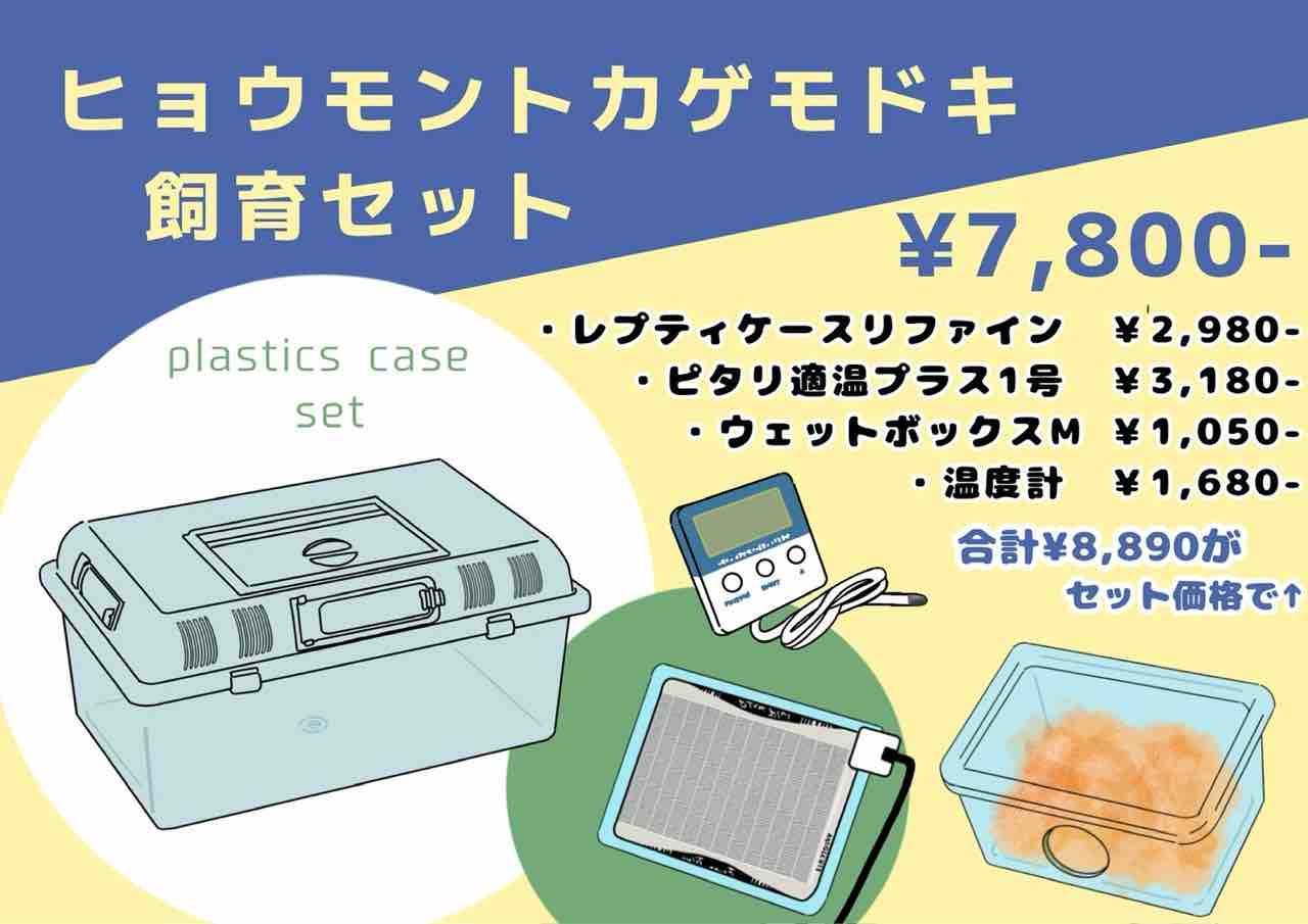 3月限定新生活応援セール開催のお知らせ！ : 爬虫類倶楽部大宮店公式ブログ
