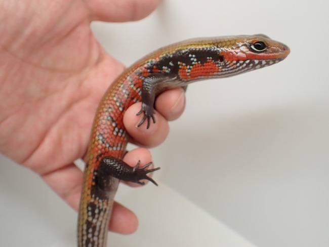 LINE_ALBUM_20241119_241121_17