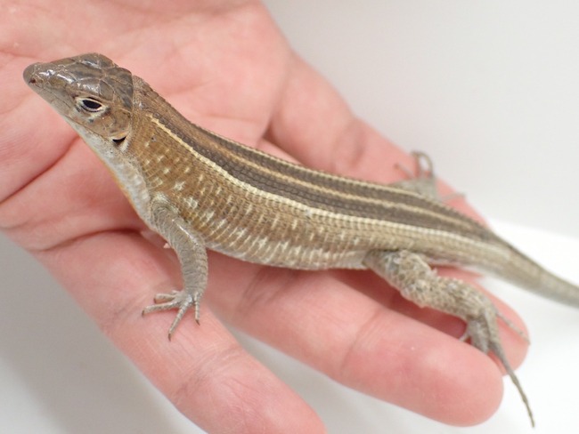 LINE_ALBUM_20240222 _1_240222_21