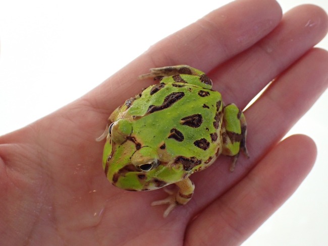 E25F6CB4-4744-4732-924C-0B22624F7413