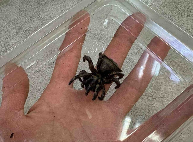 FullSizeRender