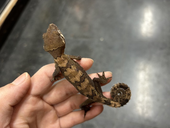 4B56F7A9-2B08-4D0D-BE6B-24F3F790B498