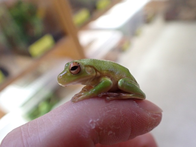 BE902BED-A7C0-4DE4-BF4F-782932073515