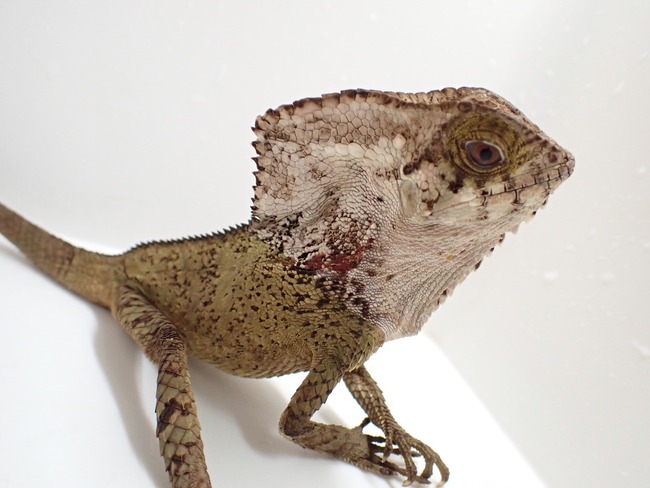 LINE_ALBUM_20241119_241121_3