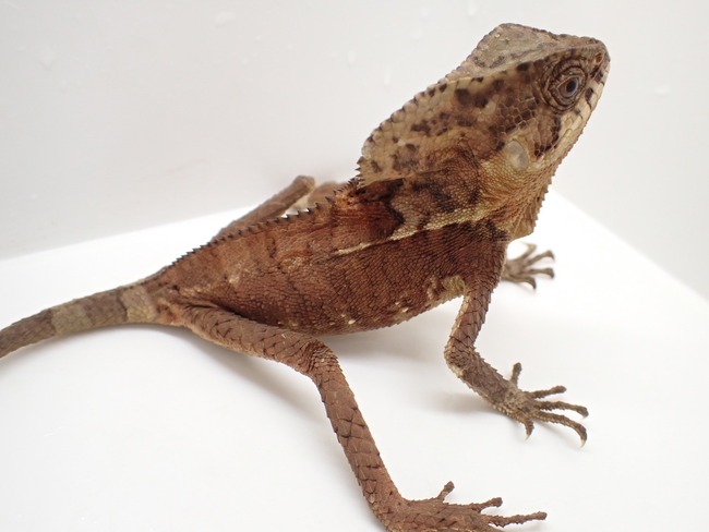 LINE_ALBUM_20241119_241121_7