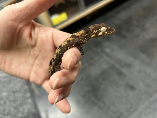 6F22B811-3895-4FA0-9113-5298A0AF9F30