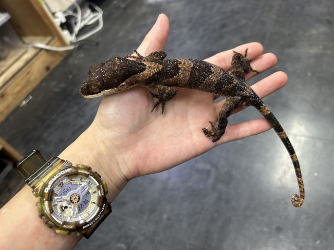 B8FEDAA3-2E6D-46D8-BF97-C9A5B45443BA