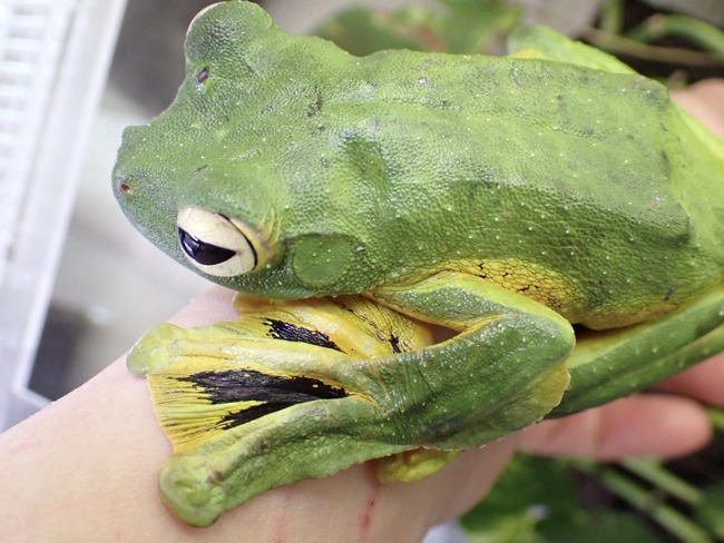 98405202-4269-48A9-A069-DB718B20A1D4