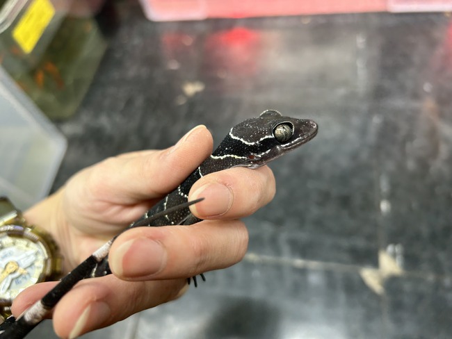 8C650889-8DF9-44D8-BE8F-2F01252863FF