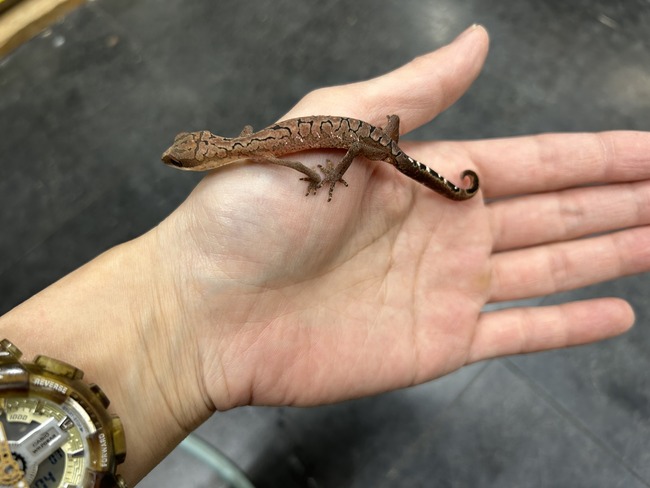 61E694FE-9BD0-42D9-B5F6-F24EAC16C4FA