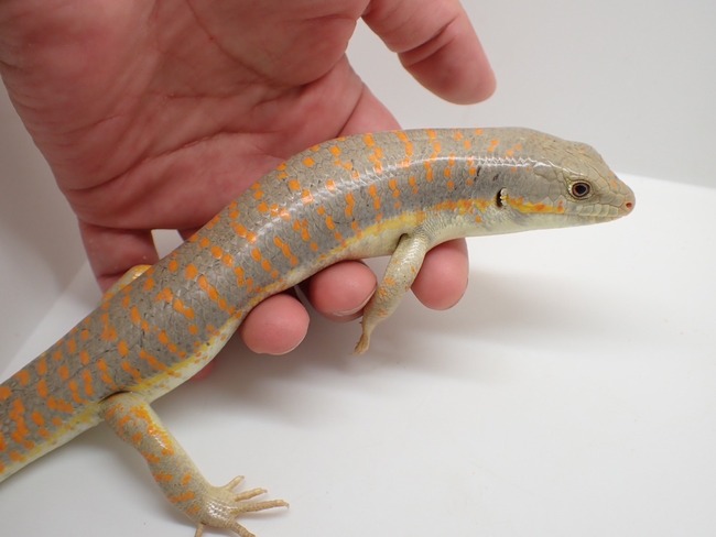 LINE_ALBUM_20240418_240422_16