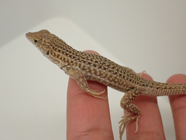 LINE_ALBUM_20240418_240422_52