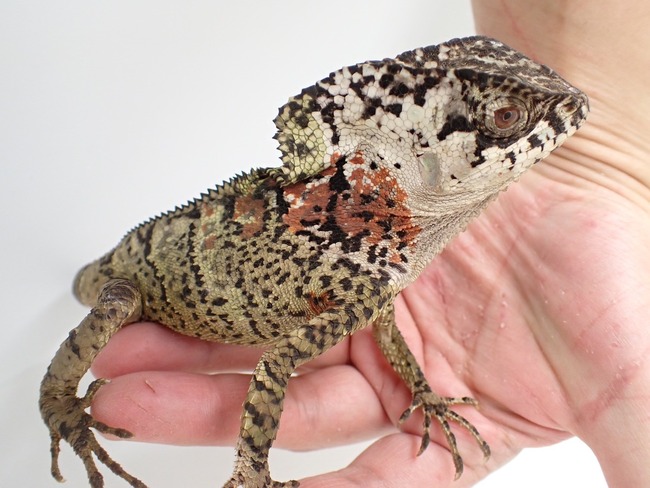 LINE_ALBUM_20240222 _1_240222_62