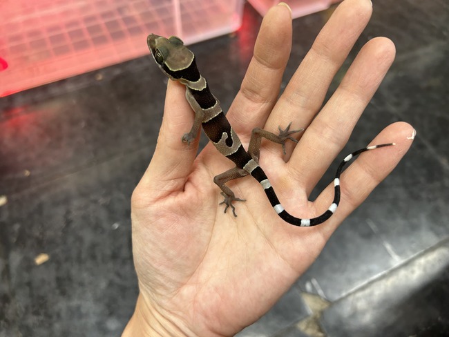 321F5B75-090E-48A4-B425-1347109AEC48