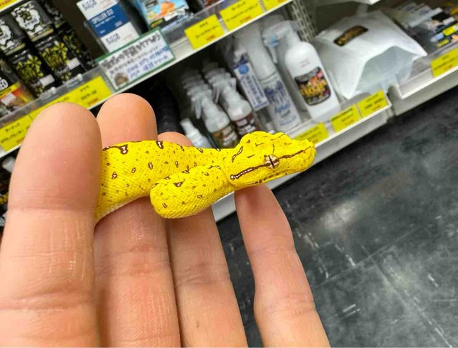 FullSizeRender