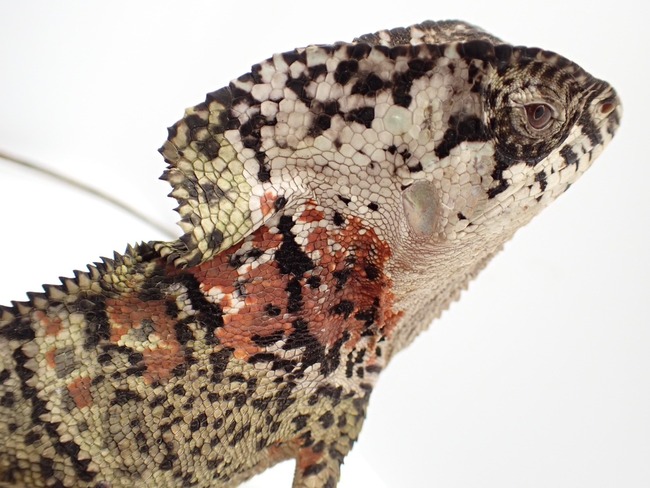 LINE_ALBUM_20240222 _1_240222_56