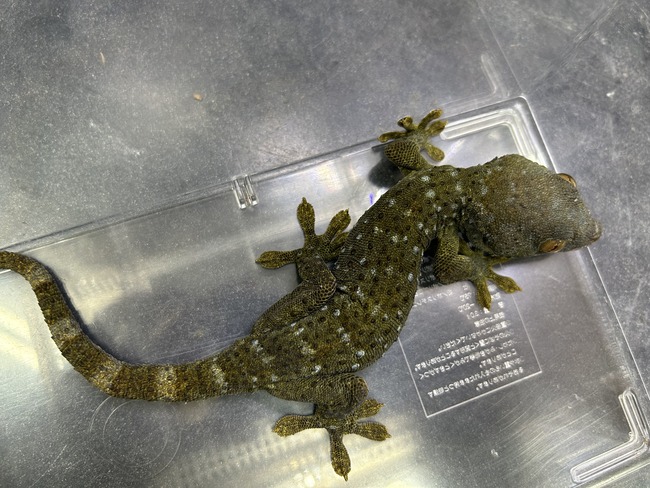 0387EDCB-4664-4825-94BB-0D19E130A8C0