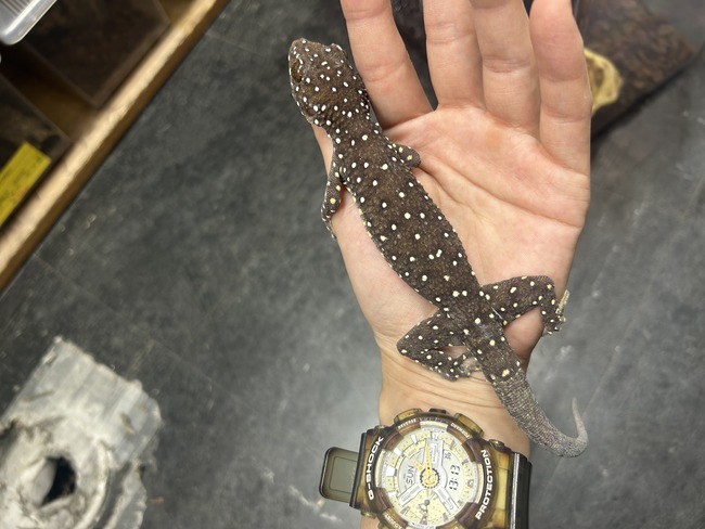 9B004A9C-4DD2-432B-AB79-7B152F7F4D5B