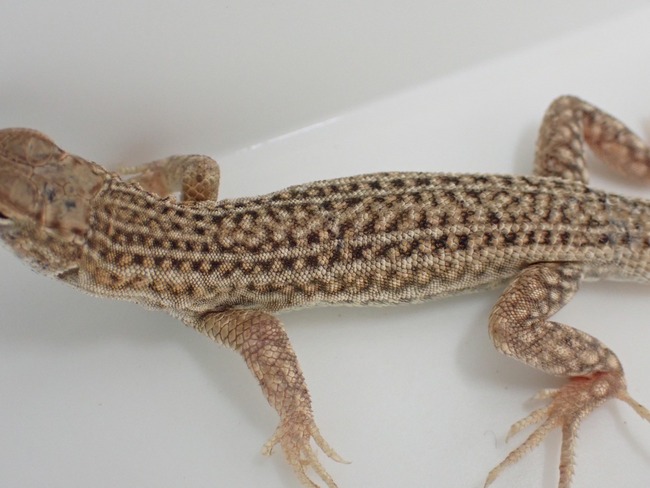 LINE_ALBUM_20240418_240422_49