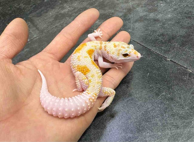 FullSizeRender