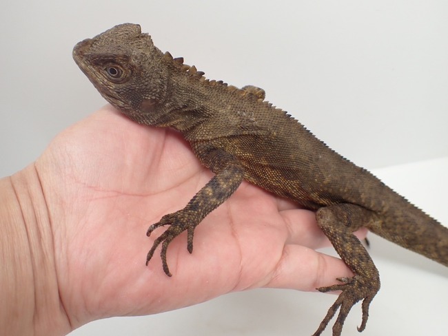 LINE_ALBUM_20241113_241114_12