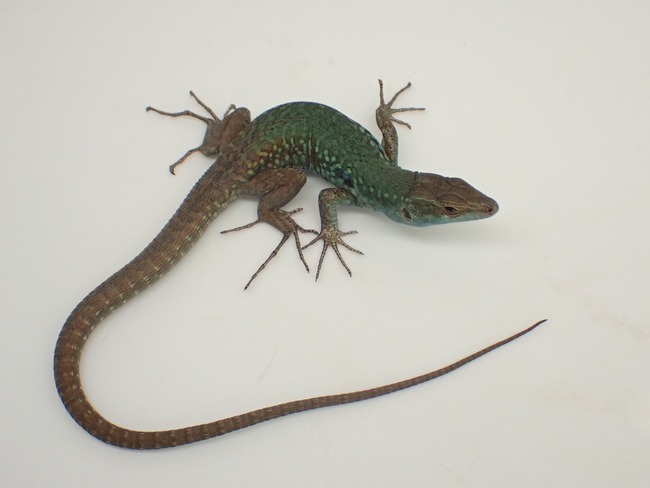 LINE_ALBUM_20241113_241114_6