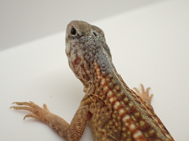 LINE_ALBUM_20240222 _1_240222_18